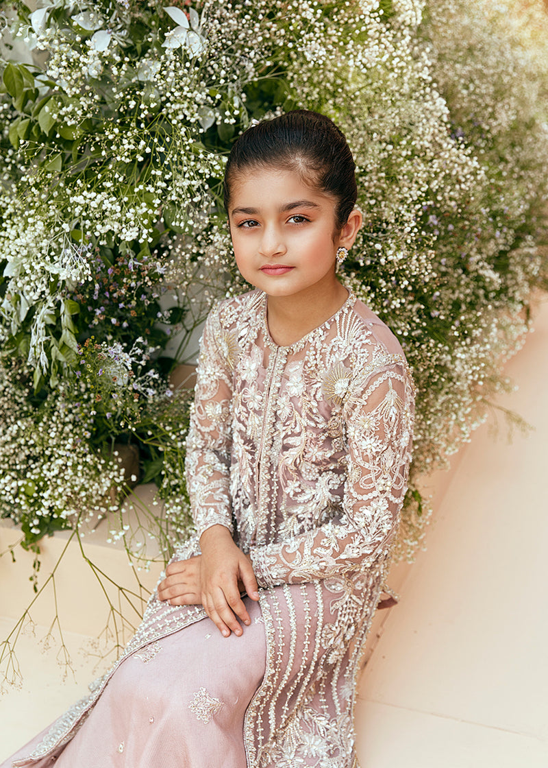 Little Amtul